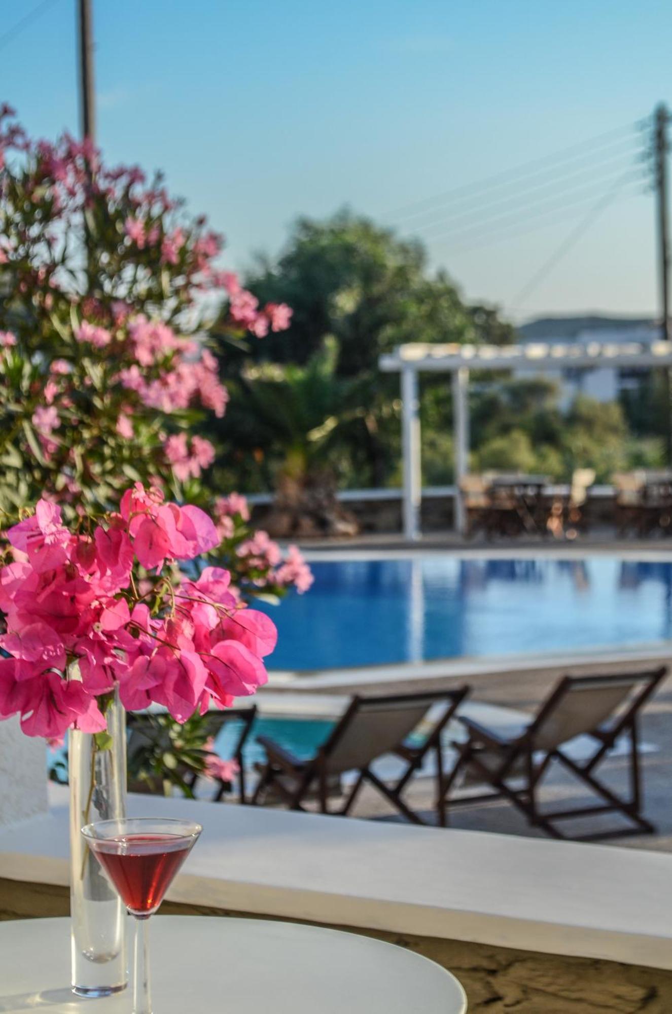 Aparthotel Olga Ios Pokoj fotografie